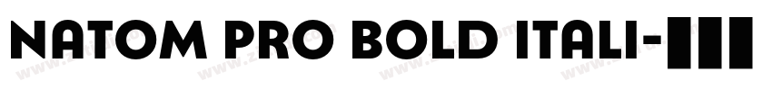 Natom Pro Bold itali字体转换 Natom Pro Bold itali字体转换